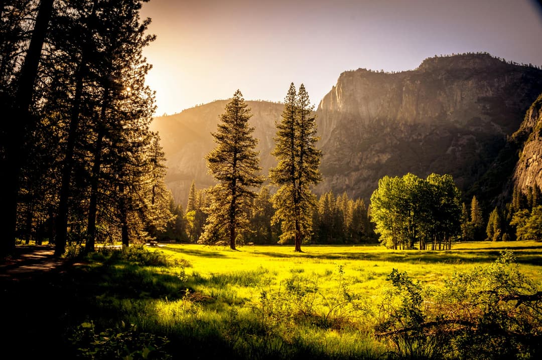 Prowall Free Wallpaper | Captivating autumn scene with sunlit forest clearing and mountains at sunset, perfect for nature backgrounds.