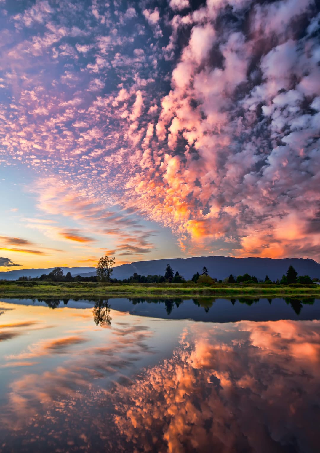Prowall Free Wallpaper | Captivating sunset with vibrant clouds and serene reflections over Pitt Meadows, BC.