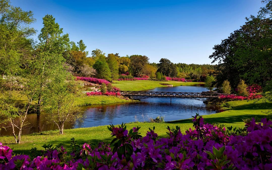 Prowall Free Wallpaper | A beautiful spring garden landscape featuring vibrant pink flowers, a serene river, and a picturesque bridge.