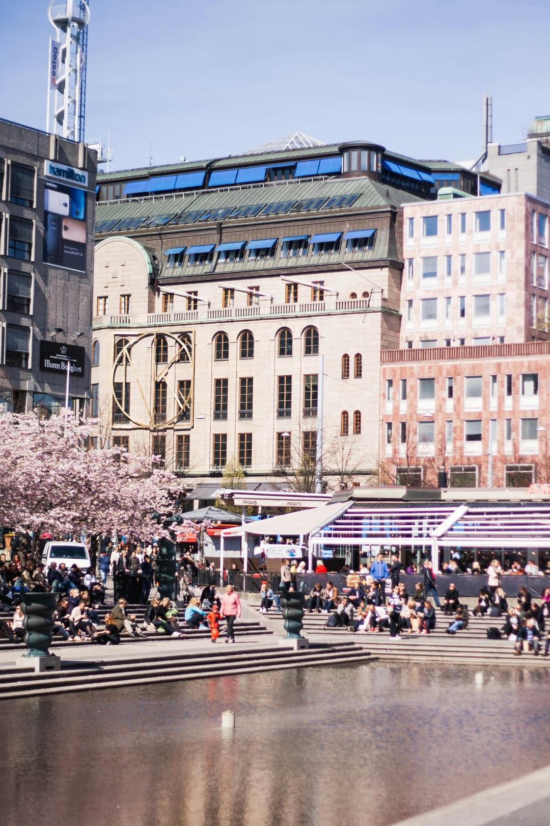 Prowall Free Wallpaper | People gather in a bustling city square with cherry blossoms and iconic architecture in view.