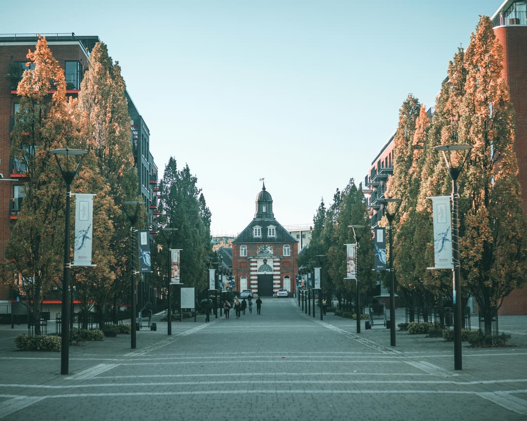 Prowall Free Wallpaper | A picturesque street view of historic urban architecture lined with autumn trees.