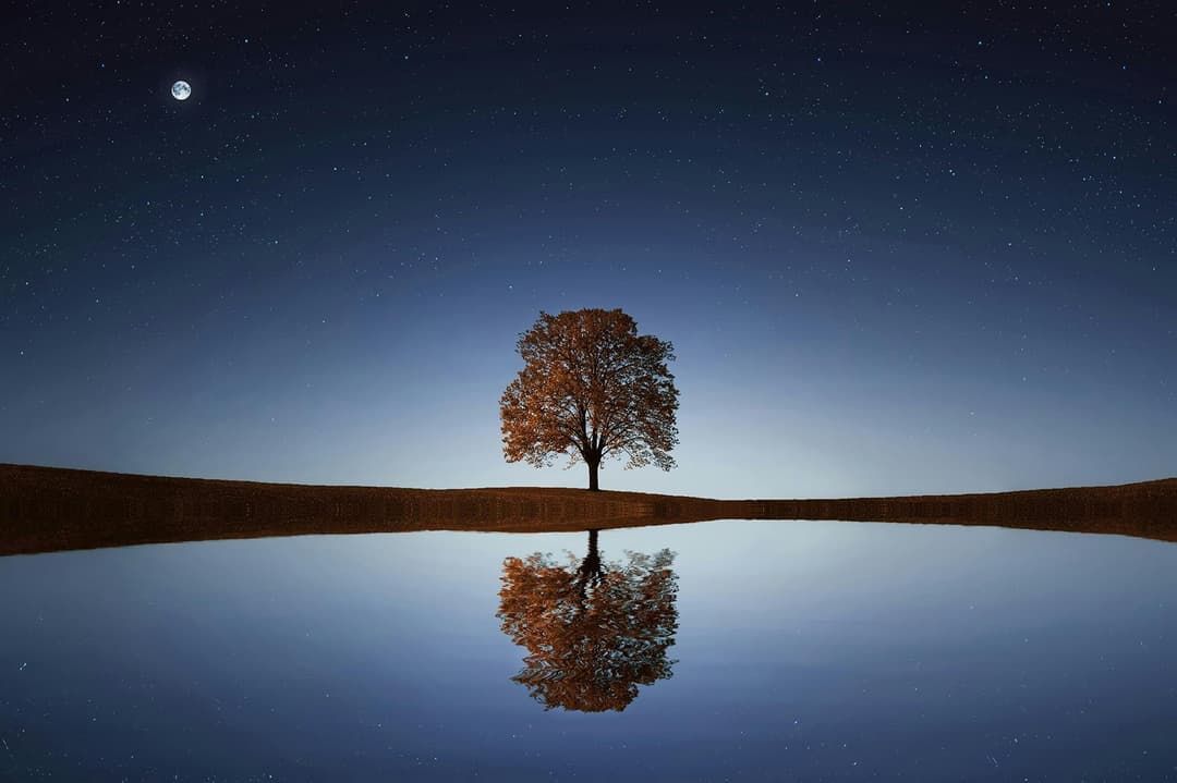 Prowall Free Wallpaper | Serene night landscape with a solitary tree reflecting in calm waters beneath a starry sky.
