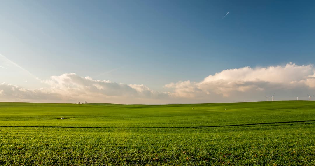 Prowall Free Wallpaper | Expansive green meadow under a blue sky with wind turbines in the distance.