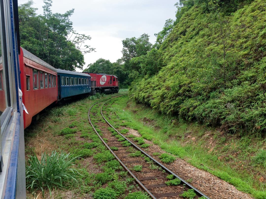 Prowall Free Wallpaper | Passenger train traveling through the vibrant green countryside of Morretes, Brazil.