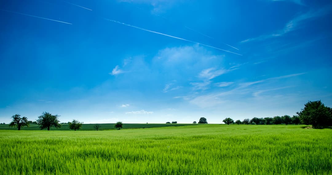 Prowall Free Wallpaper | Tranquil rural landscape with lush green field and bright blue sky.